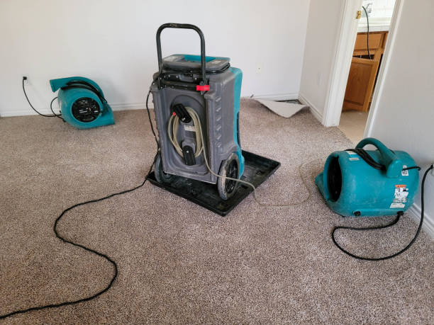 Best Carpet water damage restoration  in Hartsdale, NY