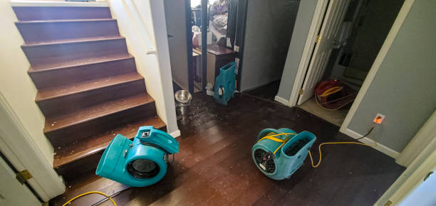 Best Water damage cleanup near me  in Hartsdale, NY