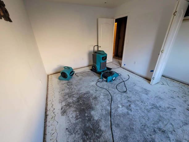 Best Flooded house restoration  in Hartsdale, NY