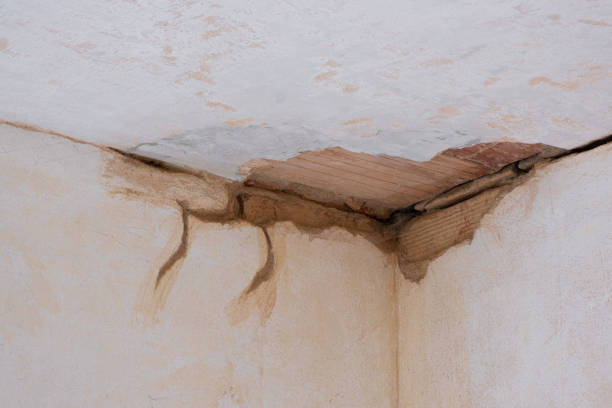 Best Ceiling water damage repair  in Hartsdale, NY