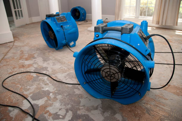 Local water damage restoration in NY