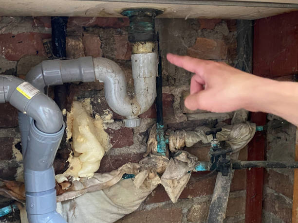 Best Sewage cleanup and water damage restoration  in Hartsdale, NY