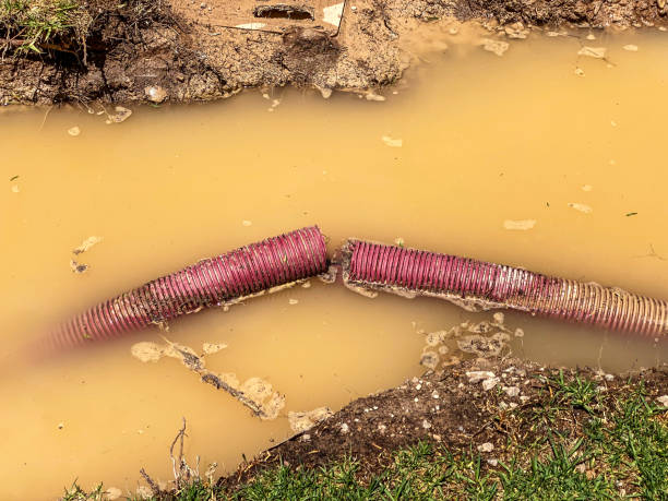 Sewage cleanup and water damage restoration in NY